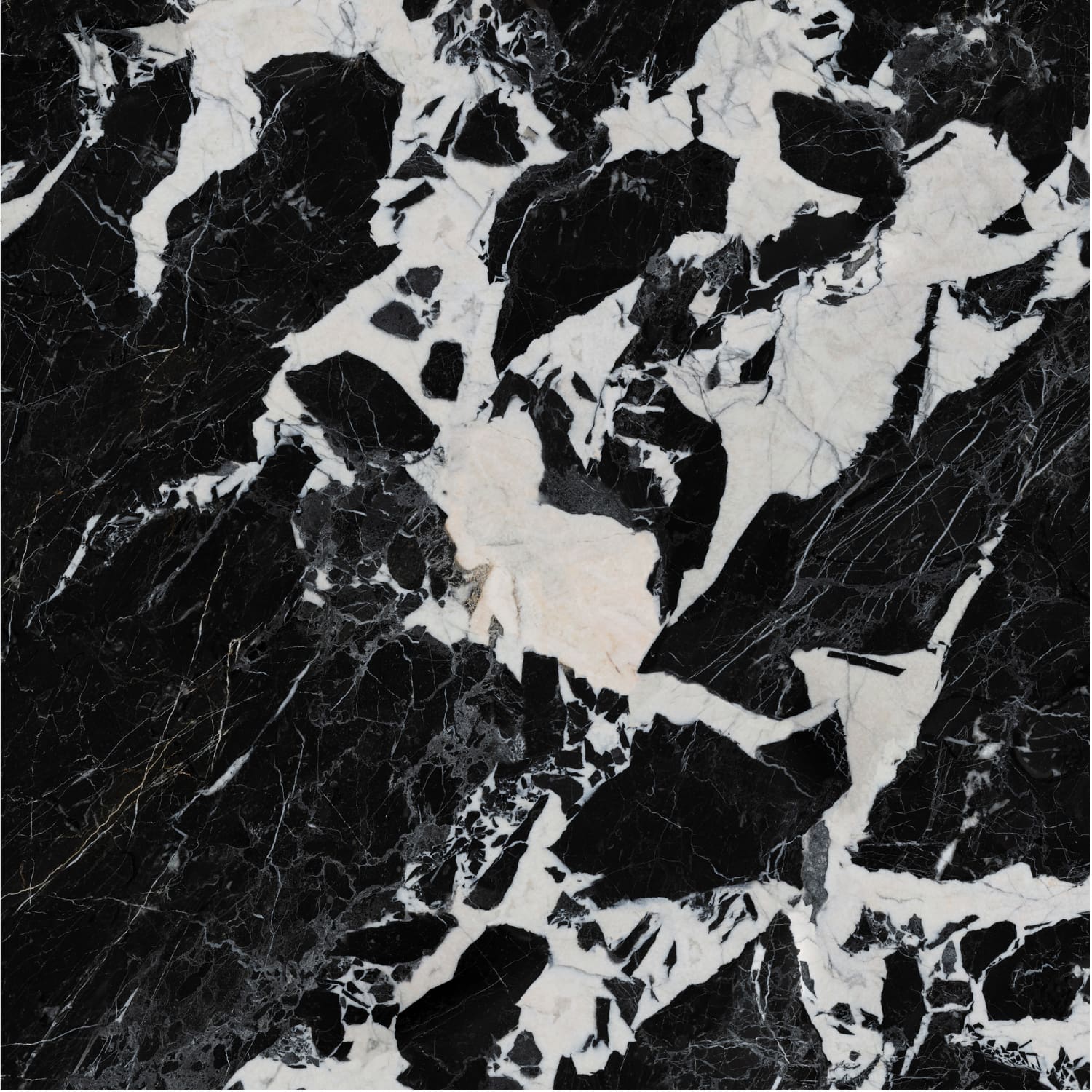 Nero Napoleon view 2