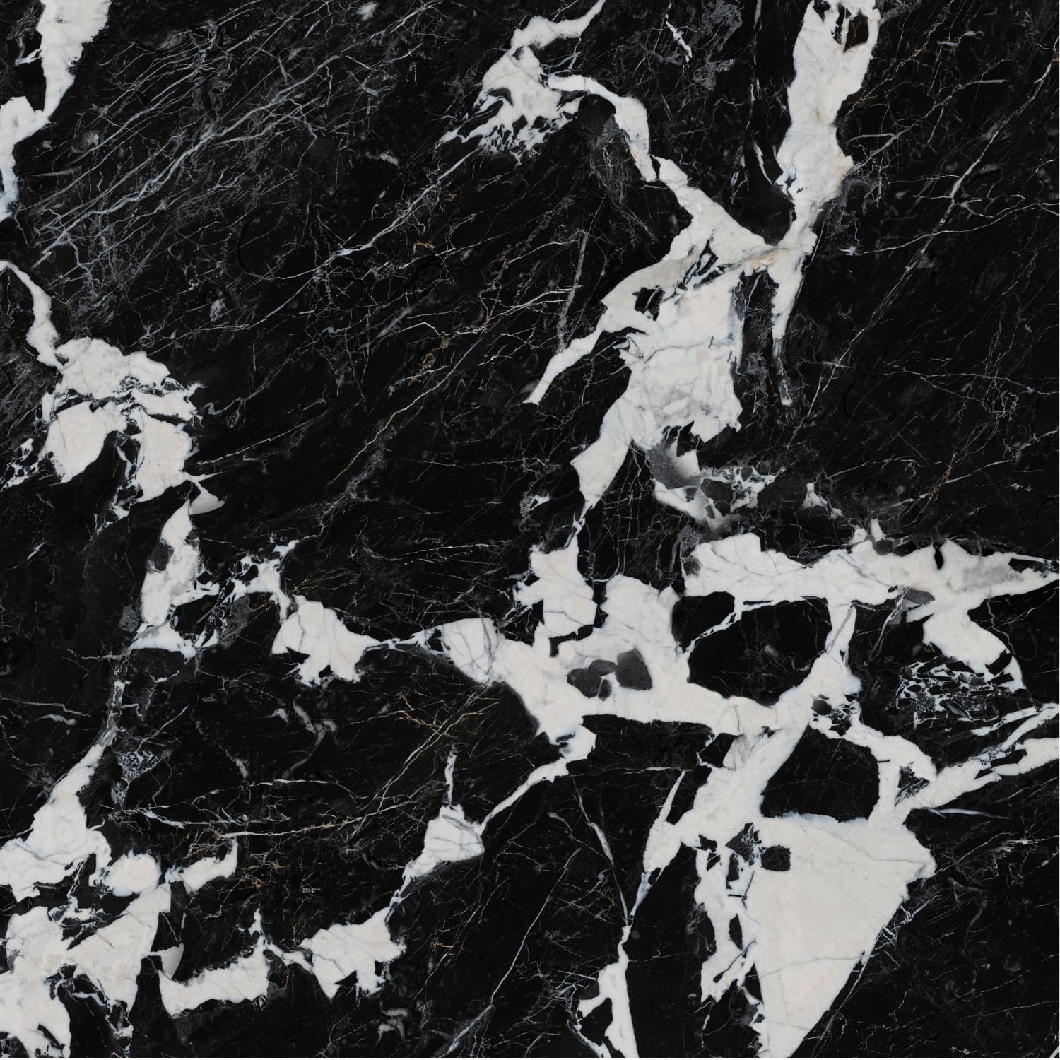 Nero Napoleon view 3