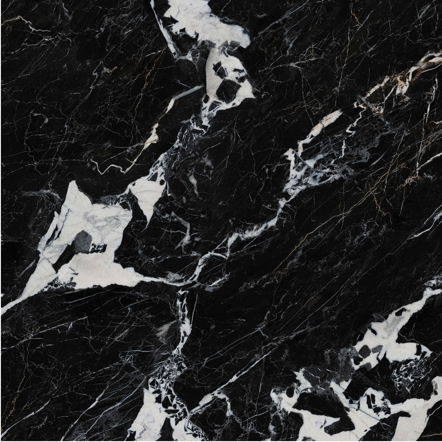 Nero Napoleon view 4