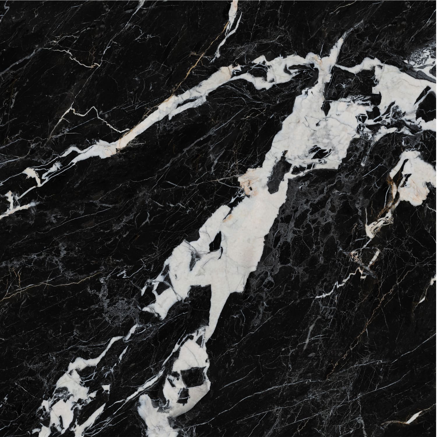 Nero Napoleon view 5