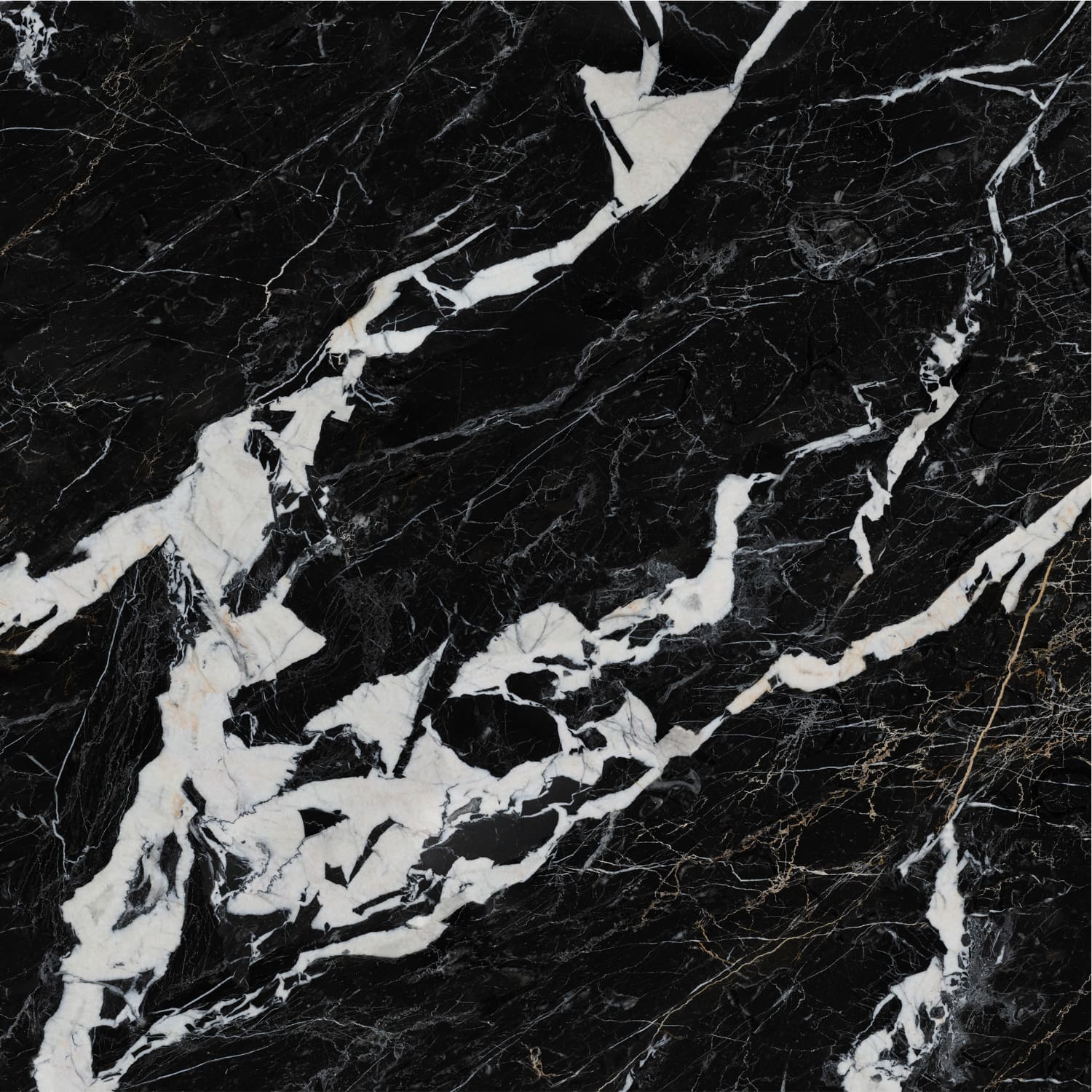 Nero Napoleon view 7