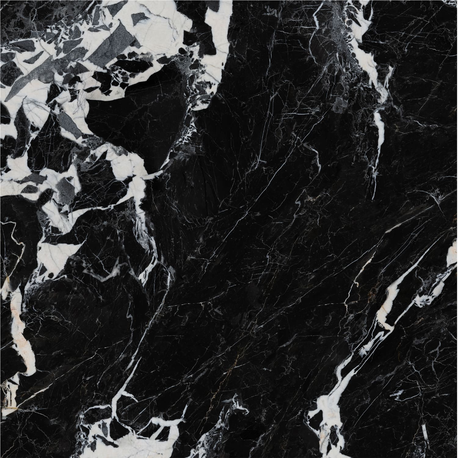 Nero Napoleon view 6