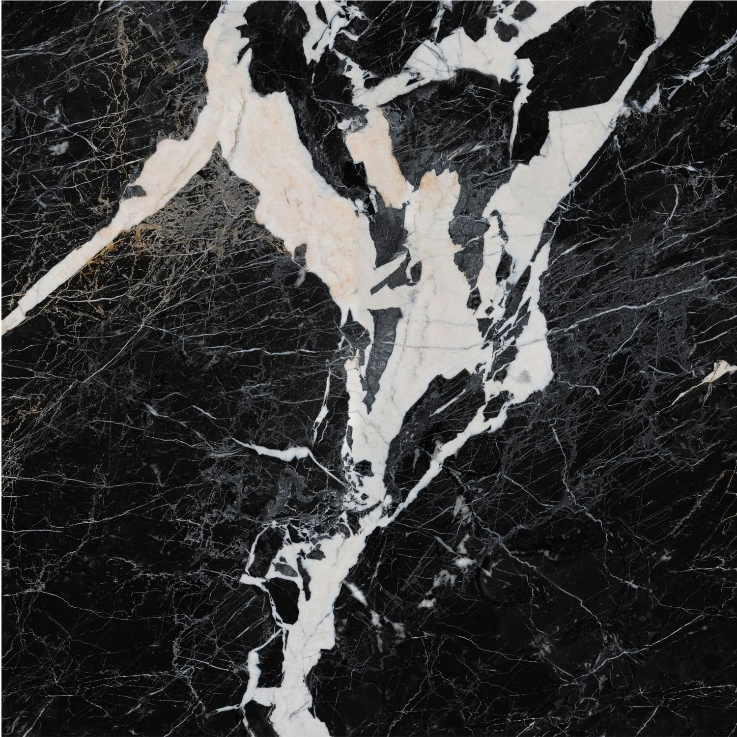 Nero Napoleon view 8