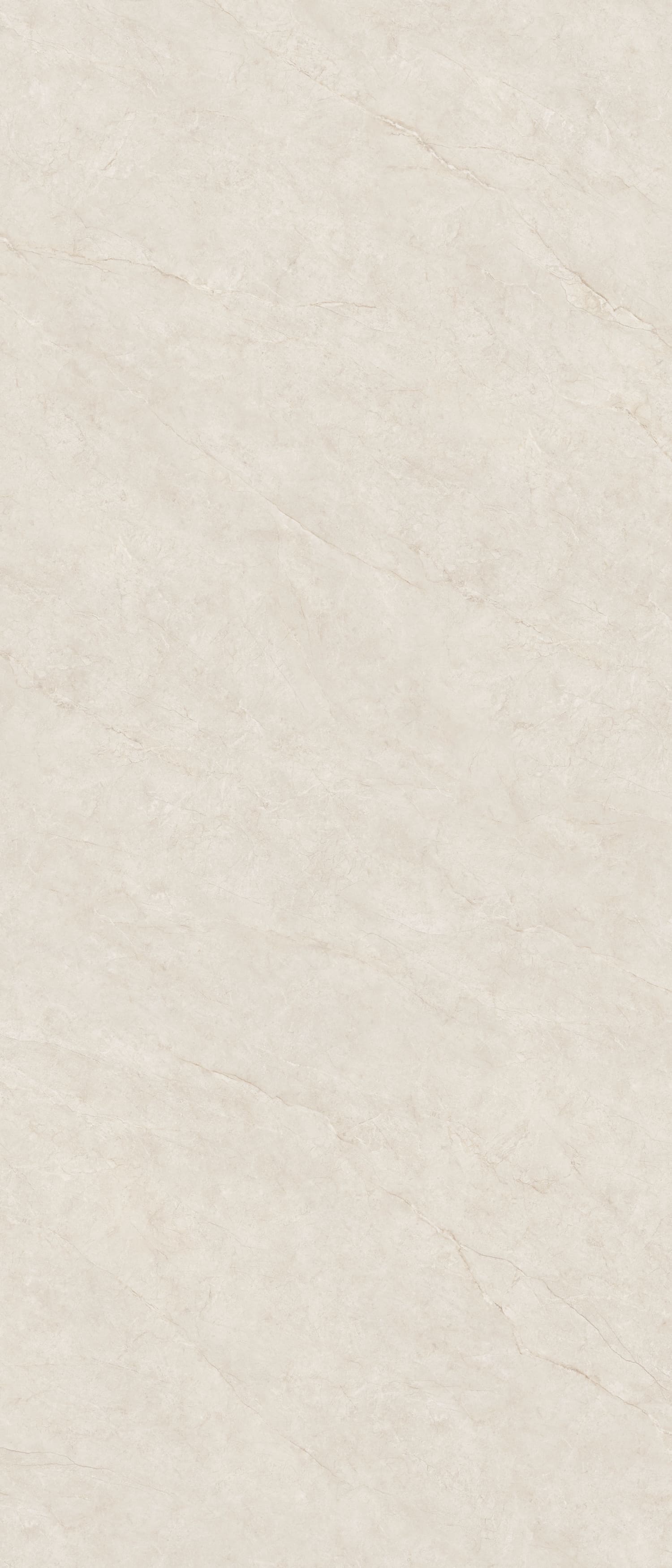 Open Field Tea White view 2