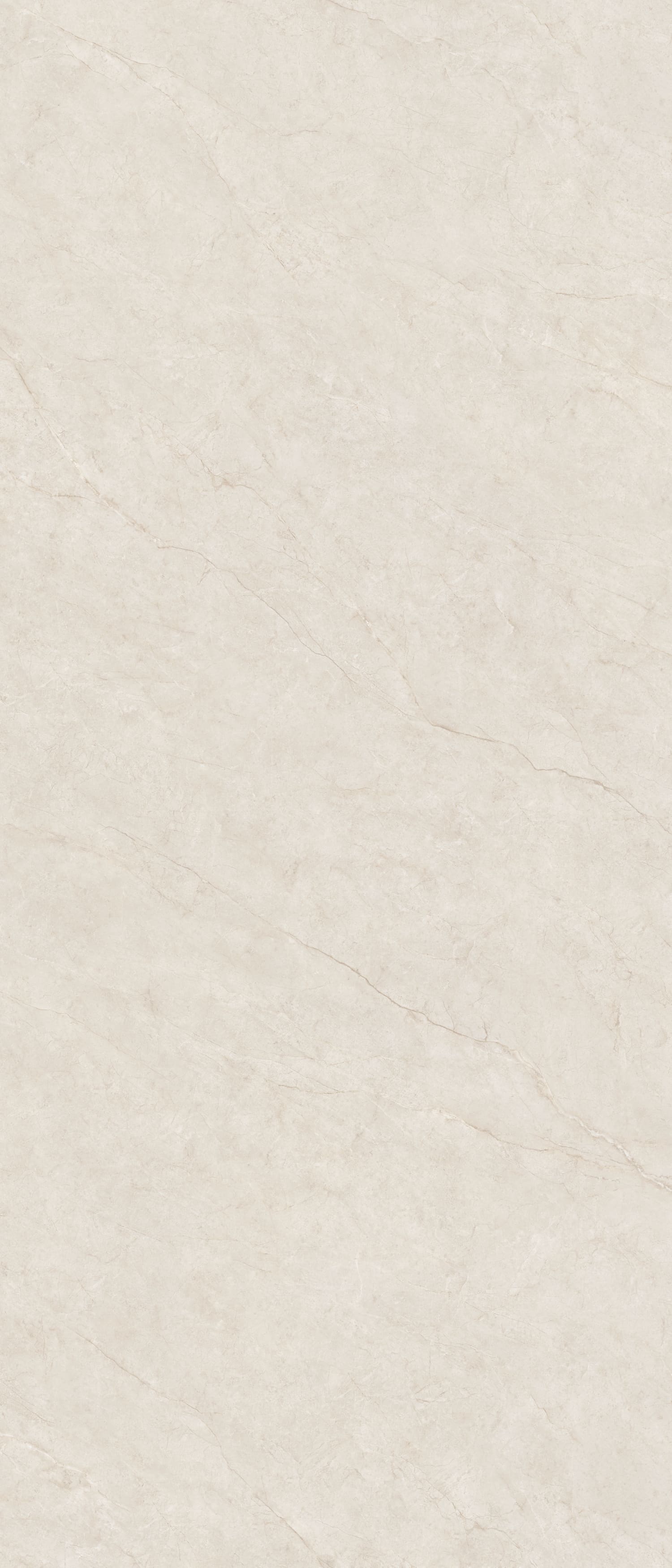 Open Field Tea White view 3