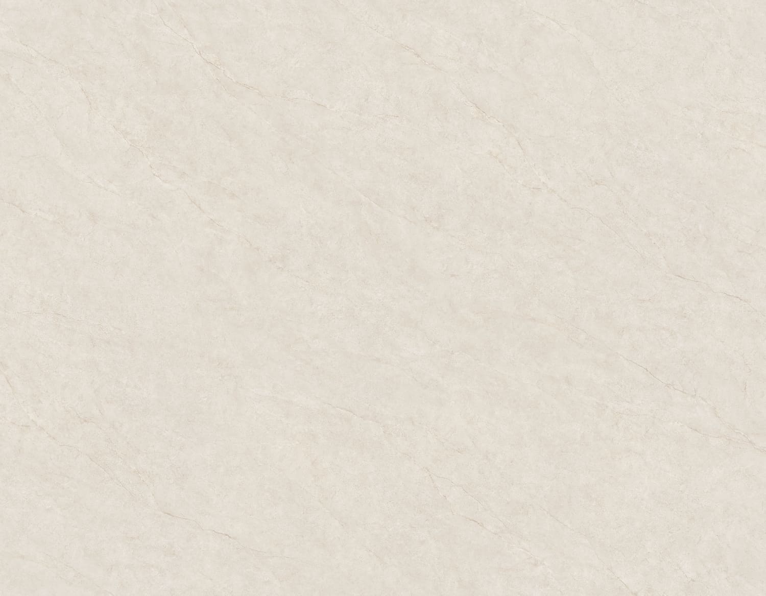 Open Field Tea White view 4