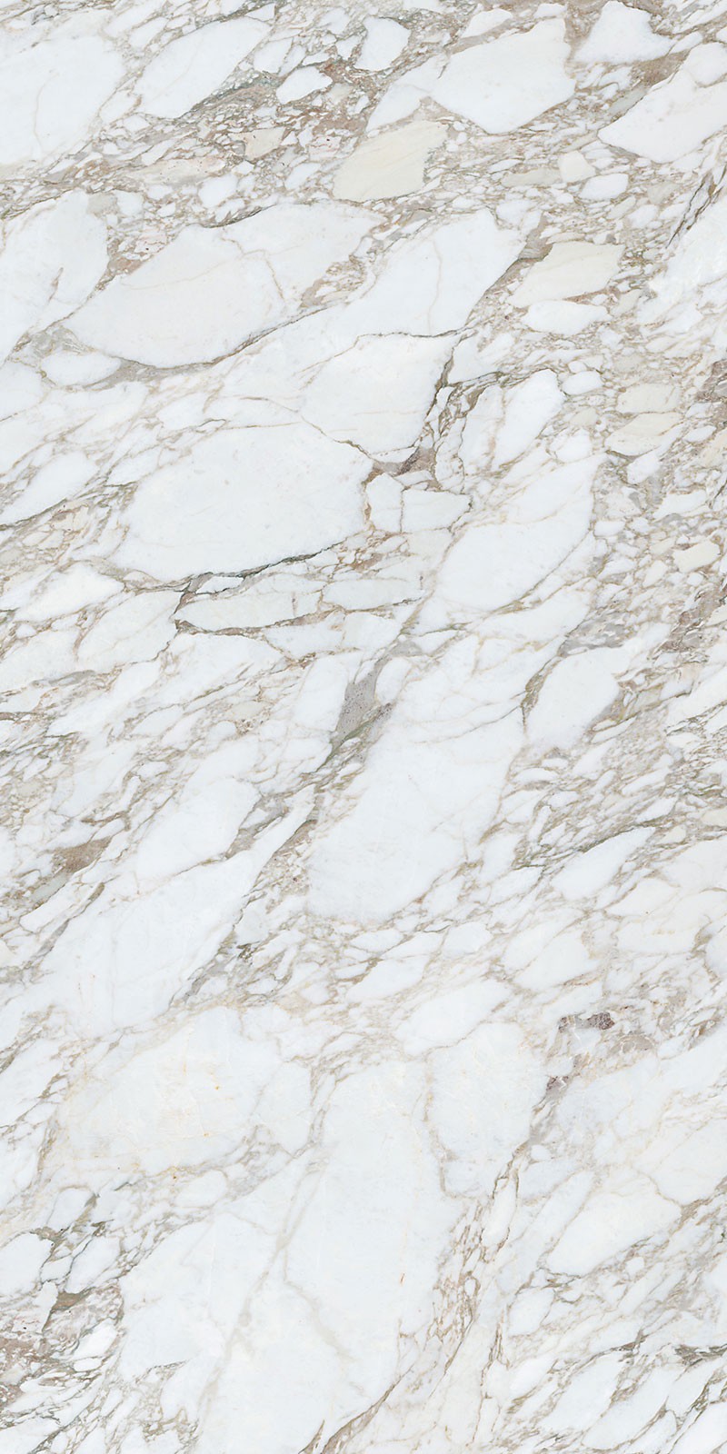 Snow Mountain view 2