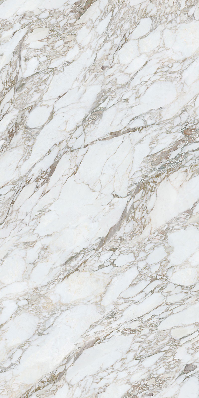 Snow Mountain view 3