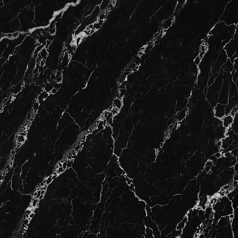 Silver Dragon view 3