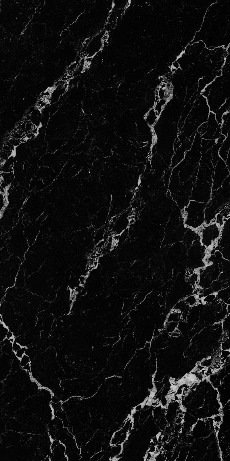 Silver Dragon view 2