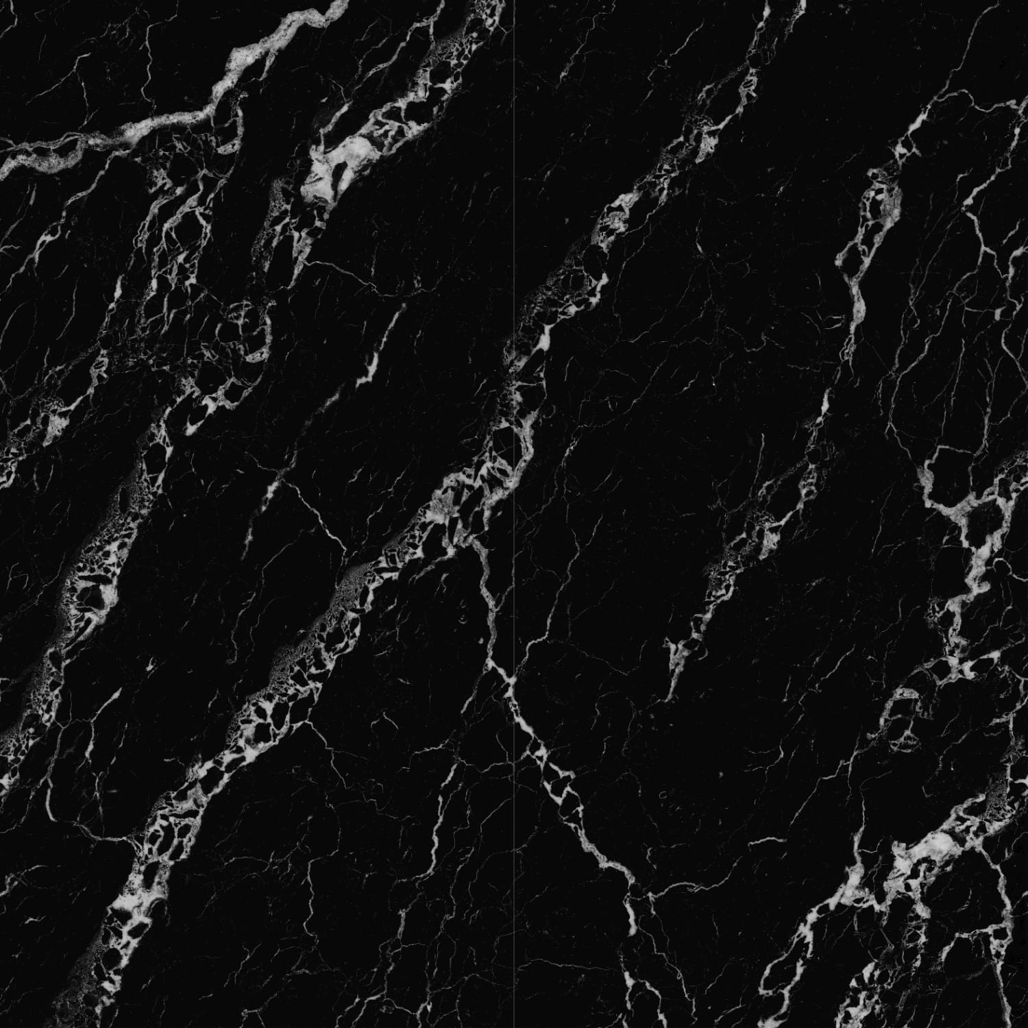 Silver Dragon view 3