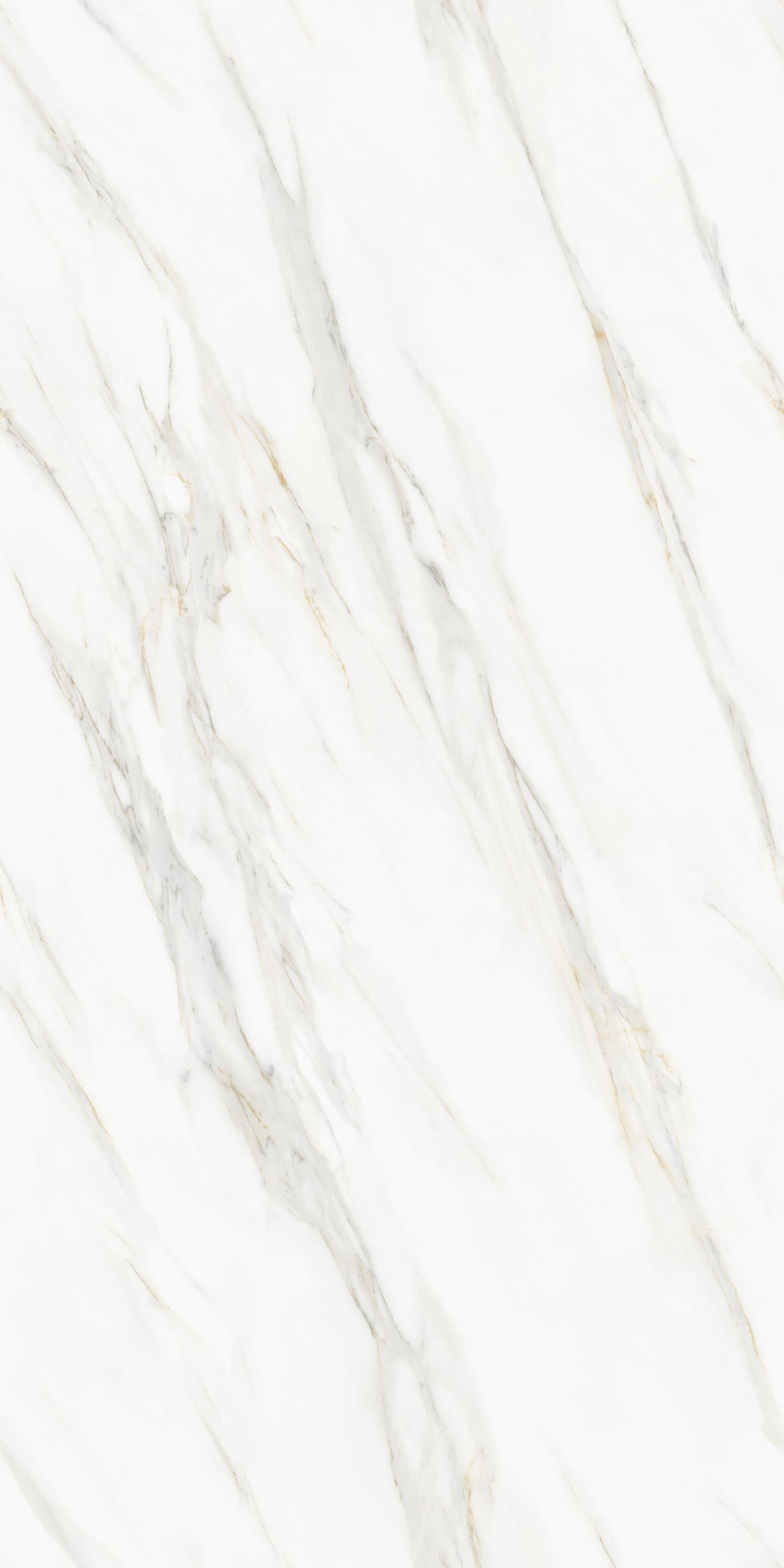 Giallo Marfil — 12mm