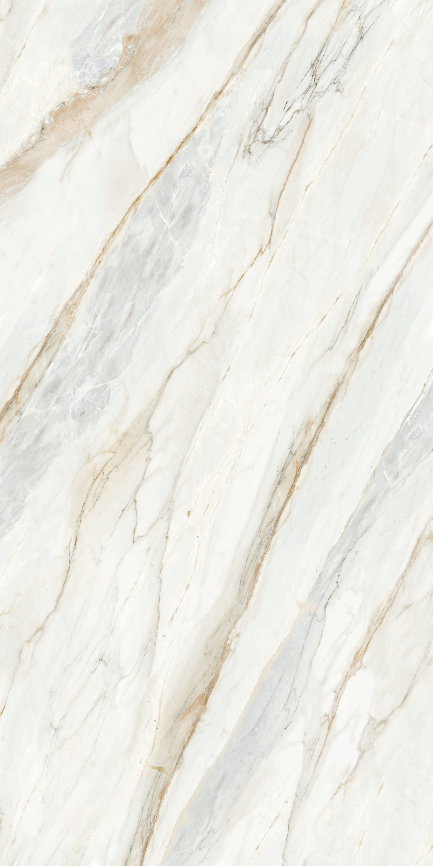 Palissandro White — 12mm